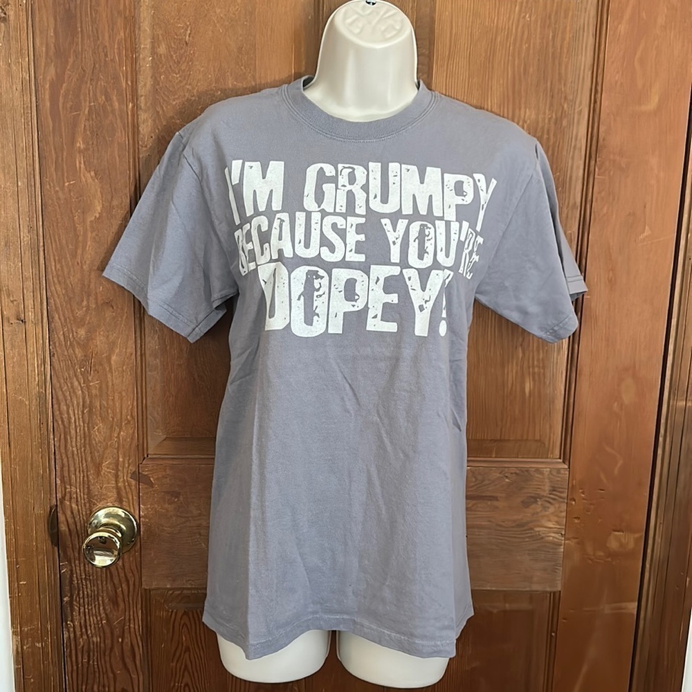 Hanes Walt Disney World TShirt Size Small